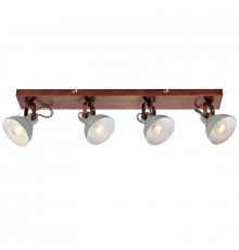 Спот Lussole Loft Diana GRLSP-9829