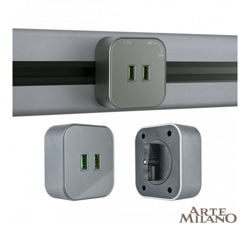 Трековая розетка Arte Milano Am-track-sockets 380022TS/USBx2 Grey
