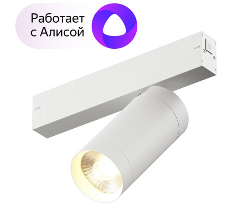 Трековый светильник Denkirs DK8020-WH