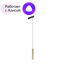 Трековый светильник Denkirs Smart DK8008-BG