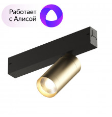 Трековый светильник Denkirs Smart DK8010-BG