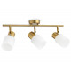 Спот Ambrella Light Traditional TR3972