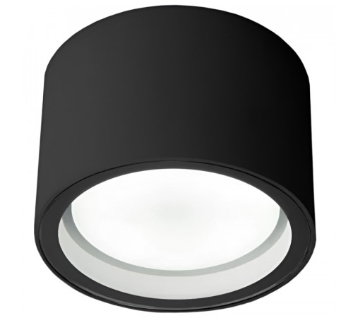 Уличный потолочный светильник Elektrostandard Light 4690389180835