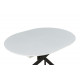 Стол 2303-1 white/black  Стул HERTA 13367  LIGHT BLUE