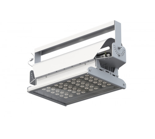 GALAD Эверикс LED-100-Г60.4-IP66-У1(1/LIRA/840/RAL7035/TG/AC230/D/DALI/G1)
