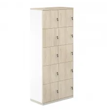 Локер 10 яч.