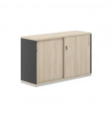 Шкаф-купе 2 ур. 1238