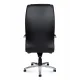 Bern black