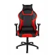 Lotus PRO carbon