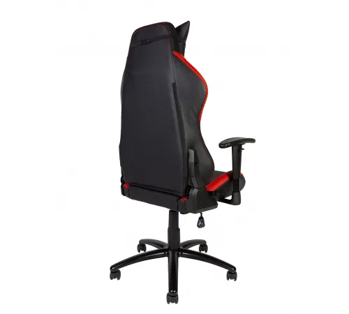 Lotus PRO carbon
