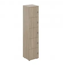 Локер 5 ячеек 400х400х1866