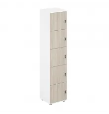 Локер 5 ячеек 400х400х1866