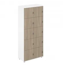 Локер 10 ячеек 800х400х1866