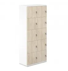 Локер 10 яч.