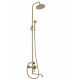 Душевая система Bronze de Luxe WINDSOR 10120DF/1, бронза