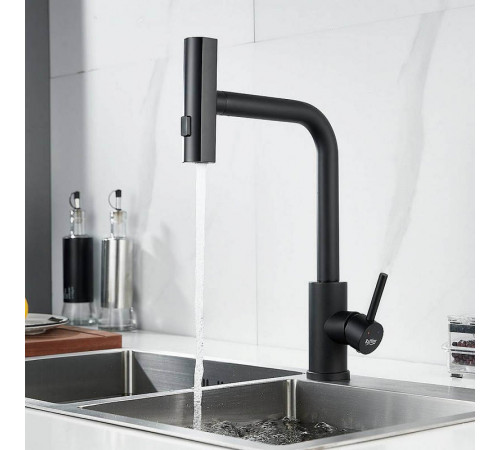 Смеситель для кухни с мультифункциональным изливом Raffine F203H, черный