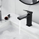 Смеситель для раковины Raffine F0196H, черный