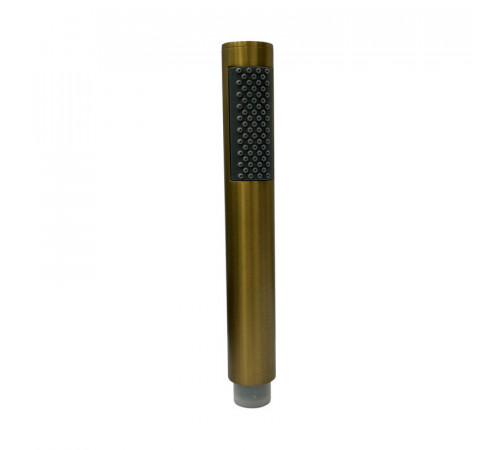 Лейка для гигиенического душа Raiber RPG-20, золото