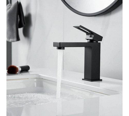 Смеситель для раковины Raffine F0196H, черный