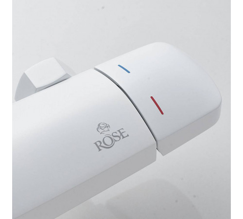 Душевая система Rose R3936C, белый