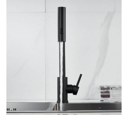 Смеситель для кухни с мультифункциональным изливом Raffine F203H, черный
