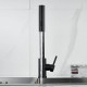 Смеситель для кухни с мультифункциональным изливом Raffine F203H, черный