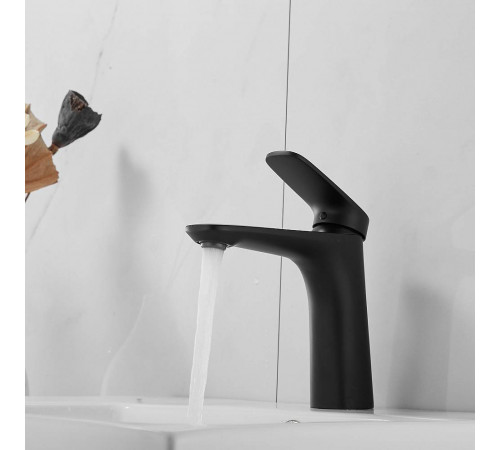 Смеситель для раковины Raffine F0185H, черный