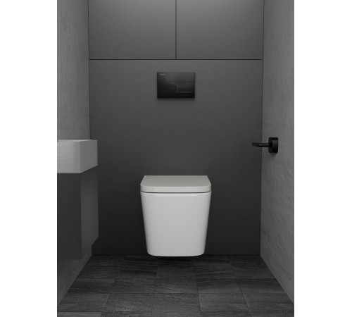 Клавиша смыва Knotlor BIS103BL, черный
