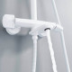 Душевая система Rose R3936C, белый