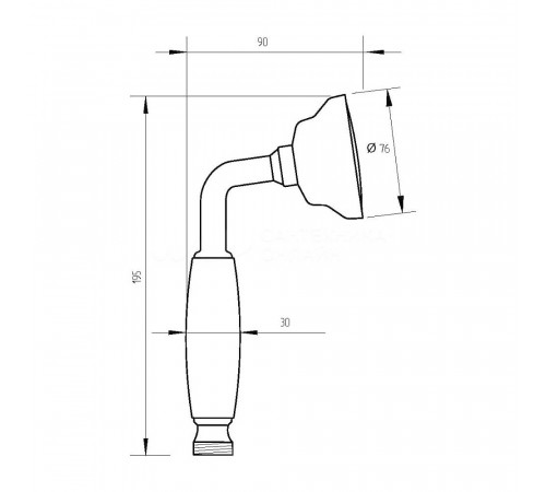 Лейка для душа Webert AC0428010, золото