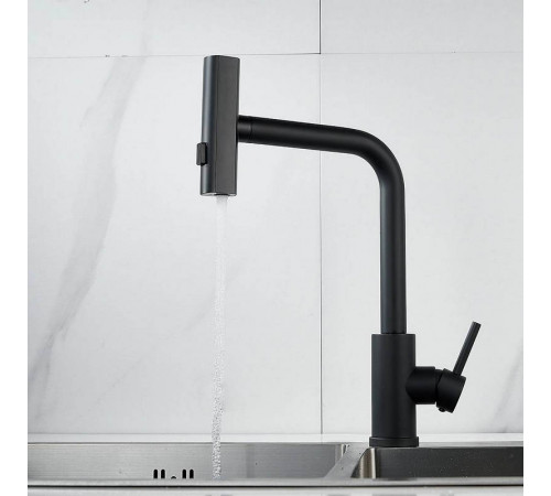 Смеситель для кухни с мультифункциональным изливом Raffine F203H, черный