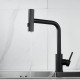 Смеситель для кухни с мультифункциональным изливом Raffine F203H, черный