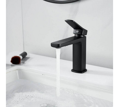 Смеситель для раковины Raffine F0199H, черный