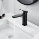 Смеситель для раковины Raffine F0199H, черный