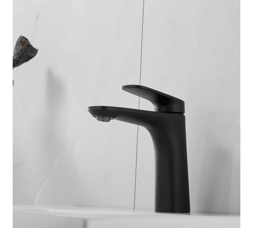 Смеситель для раковины Raffine F0185H, черный