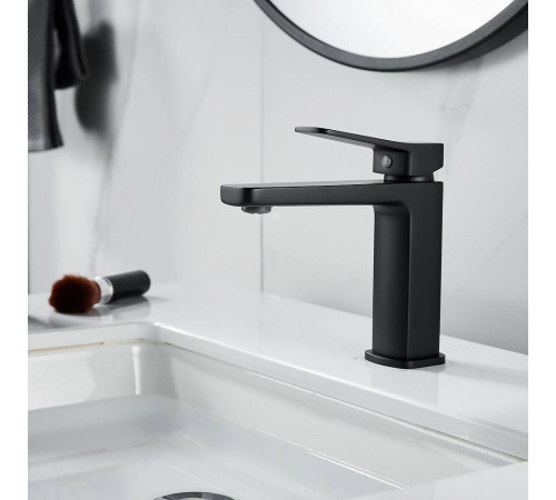 Смеситель для раковины Raffine F0199H, черный