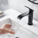 Смеситель для раковины Shevanik S4101H, черный