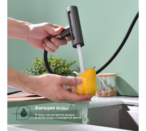 Смеситель для кухни с мультифункциональным изливом Splenka S206.49.09, графит