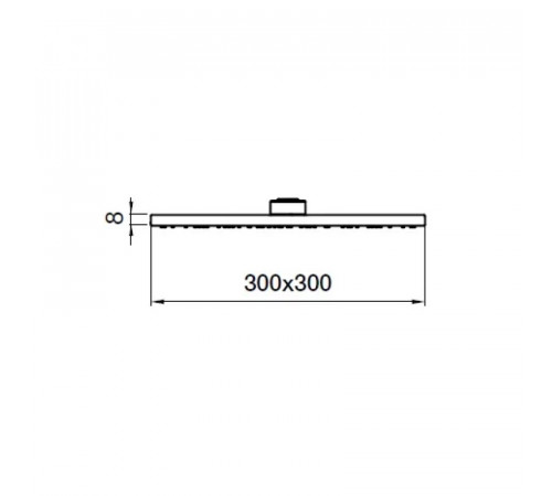 Верхний душ Webert AC1013015STEEL, хром