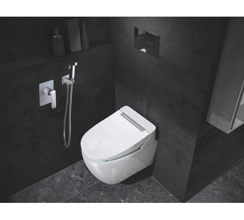 Гигиенический душ со смесителем Rose R1605F, белый/хром