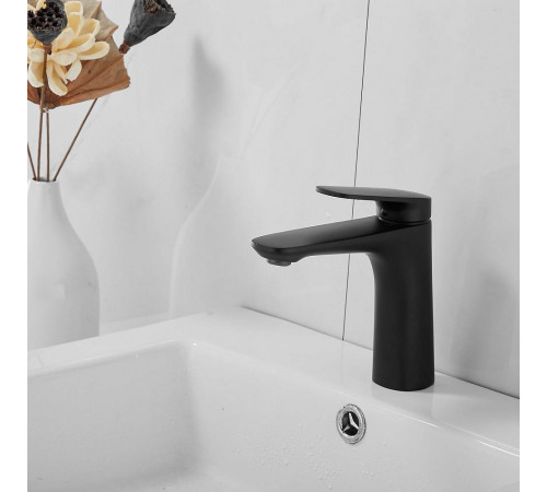 Смеситель для раковины Raffine F0185H, черный