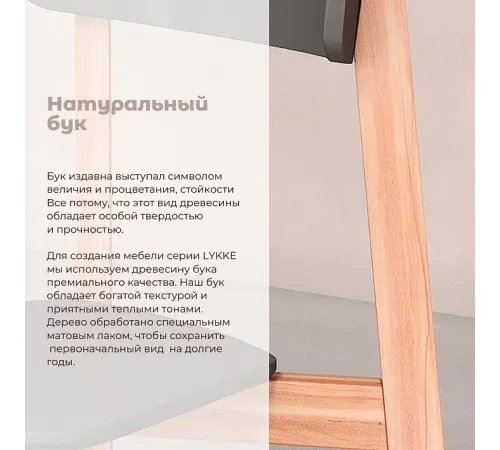 Комплект прямых стульев SKYLAND LYKKE CE-2, антрацит/бук, 48х57х90 см