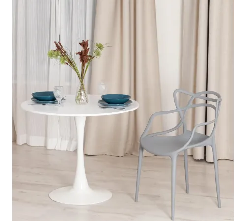 Стул Cat Chair (mod. 028) пластик, 53x59x82,5 см, темно-серый (Dark grey NX-GR-20) (Комплект из 2 шт.)